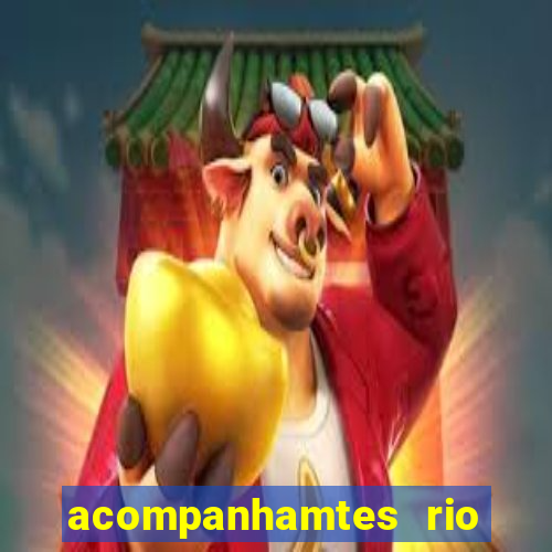 acompanhamtes rio de janeiro